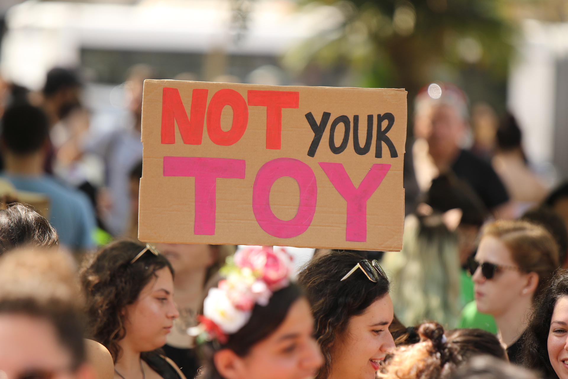 protest sign, "not your toy"
